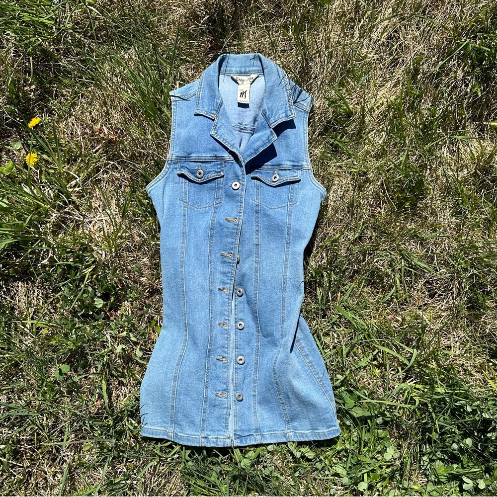 Indigo rein denim dress